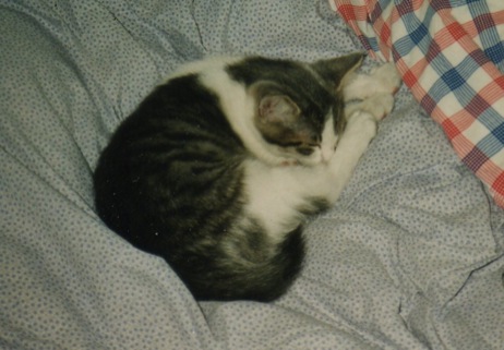 schlafend5